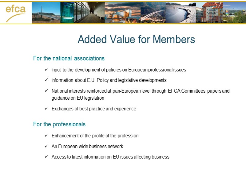 For the national associations Input to the development of policies on European professional issues